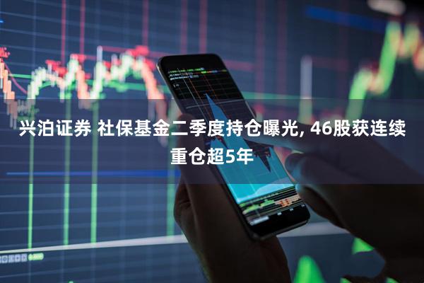 兴泊证券 社保基金二季度持仓曝光, 46股获连续重仓超5年